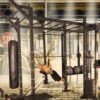 Functional Training Rig 1 functional training rig 2