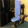 Pulse Fitness Strength Package - 12 machines 6 pulse tricep press e1429811307983